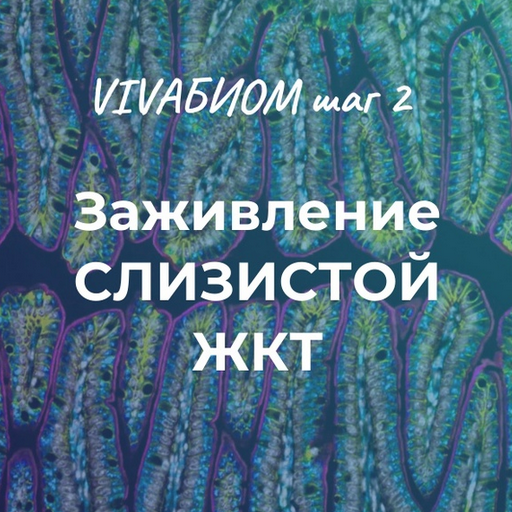 [Анна Кортунова] Vivabiom шаг 2_ Заживление слизис_0.png